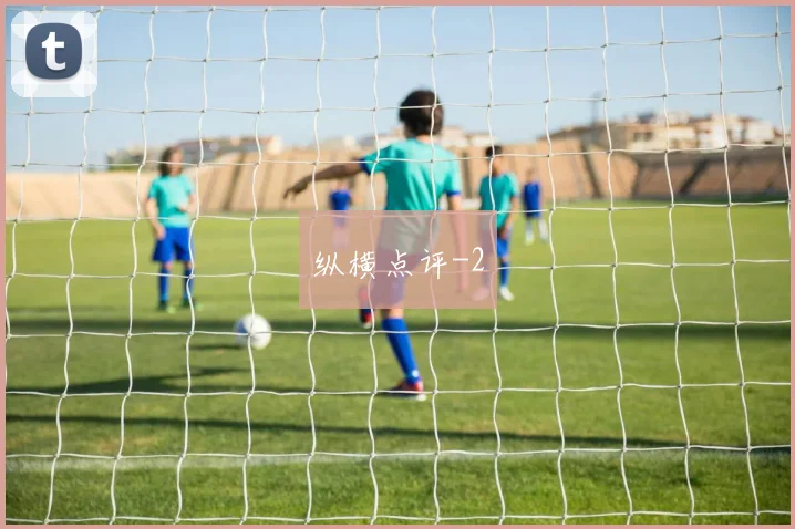 纵横点评
