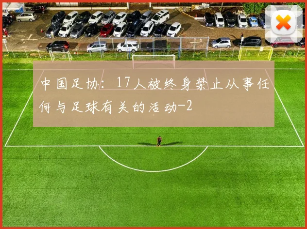 中国足协：17人被终身禁止从事任何与足球有关的活动