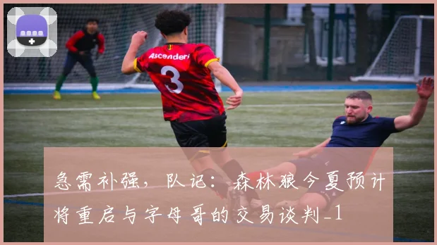 急需补强,队记:森林狼今夏预计将重启与字母哥的交易谈判_1