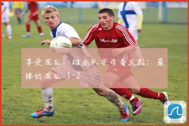 享受混乱,雄鹿队字母哥发贴:最棒的混乱_1